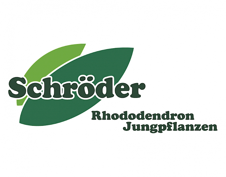 Schröder Rhododendron