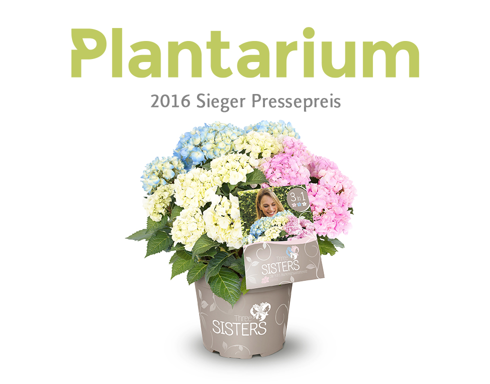 Diderk Heinje Pflanzenhandelges. Three Sister® Plantarium 2016 Sieger