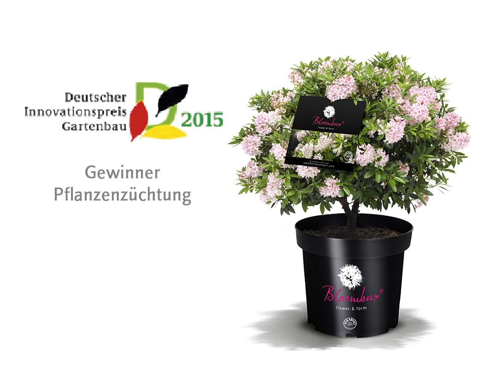 INKARHO® Bloombux® Deutschen Innovationspreis Gartenbau in der Kategorie „Pflanzenzüchtung“