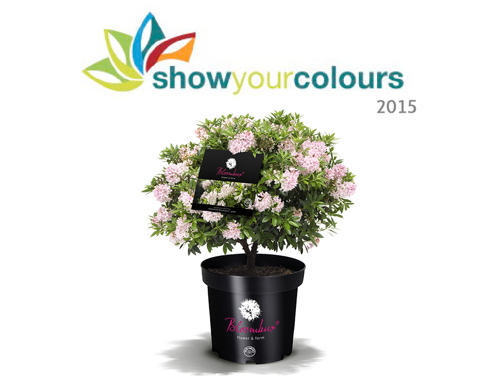 INKARHO® Bloombux® Show Your Colours Award 2016